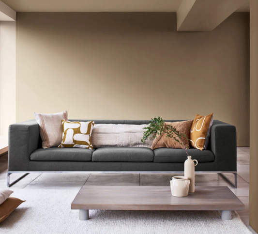 Explore the Power of Dulux Brave Ground