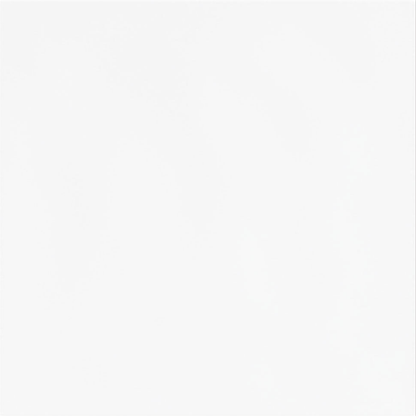 Gloss White Ceramic Wall Tile - All Sizes