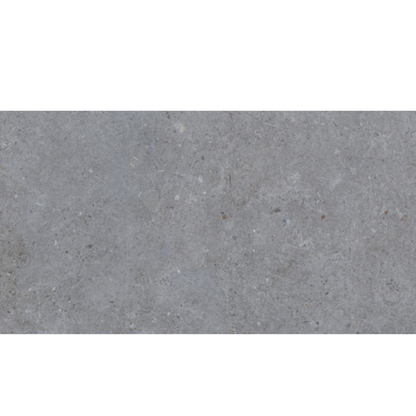 Siena Light Grey Matt Porcelain Wall & Floor Tile - All Sizes
