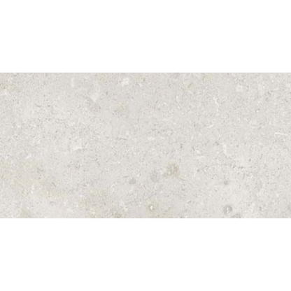 Bloomberg Matt Ceramic Wall Tile 300mm x 600mm (8 per Box)