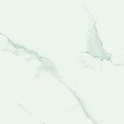 Sanford White Matt Porcelain Wall & Floor Tile 995mm x 995mm (2 per Box)