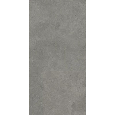 Ecoliving Porcelain Matt Anthracite Wall and Floor Tile 600mm x 300mm (Free Sample)